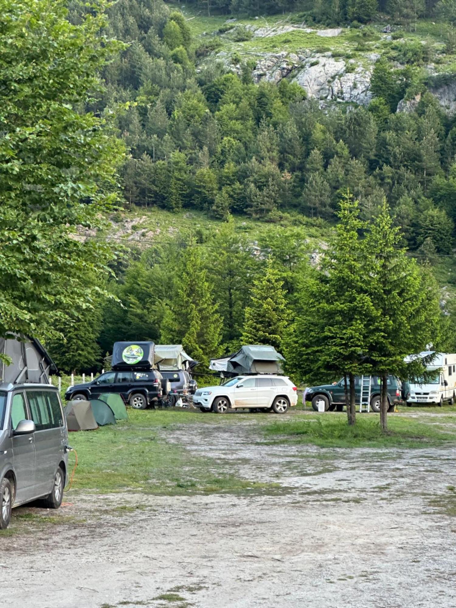 Heldi Eco * Dragobi